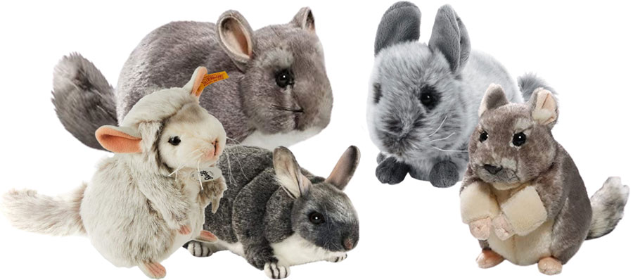 Chinchilla Plüschtier