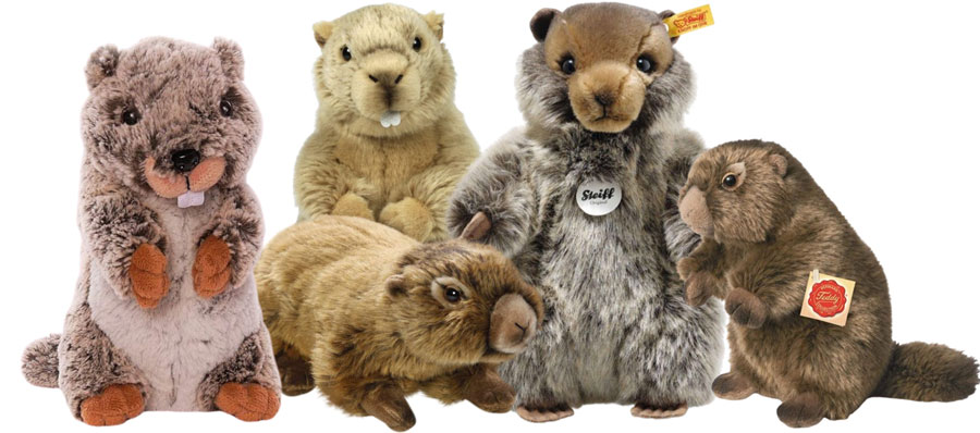Plüschtiere Murmeltiere